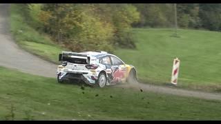 Best of Central European Rallye 2024 | Crash and Action | Raw Sound and Mistakes | This is WRC CER24