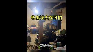 熊闖入居民區，實在太可怕了！ #棕熊 #動物世界看人生百態 #野生動物解說