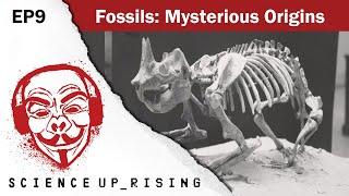 Fossils: Mysterious Origins (Science Uprising, EP9)