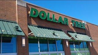 AWESOME NEW FINDS PT 2! DOLLAR TREE KEEPS US HAPPY!!! COME WITH ME #dollrtree