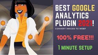 Beehive Analytics Wordpress Plugin Tutorial  Setup Google Analytics in 1 Minutes  