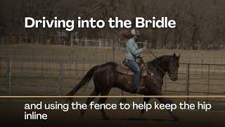 Driving Into the Bridle with Ashley Schafer on Between The Reins