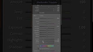 Edit dirty feet in Lightroom tutorial #shorts