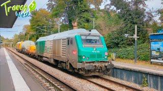 RHTT Season - SNCF BB75000 EX FRET SNCF - Infra SNCF - RHTT Train - Chaville Rive Droite