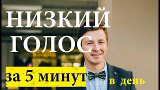 Красивый  низкий мужской голос . Как сделать голос?