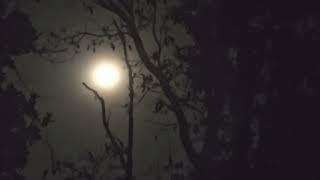 #SAMSUNG S24 ZOOMING 1×20!!MOON