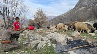 Iran nomadic life: Jahangir's journey to the heart of the mountain to graze sheep on a wonderful day