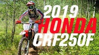 2019 Honda CRF250F | Bike Overview