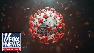 Bombshell report rewrites COVID outbreak timeline