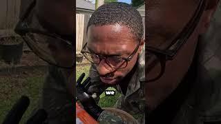 Shrimp Dumplings, No Shrimp Taste! | FULL VIDEO OUT! #shrimpzikk