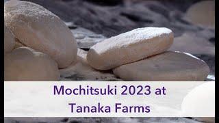 Keiro at Tanaka Farms for Mochitsuki 2023