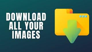 How to Download All Images from WordPress Media Library