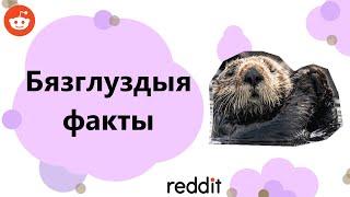 Бязглуздыя факты | Беларускамоўны Reddit