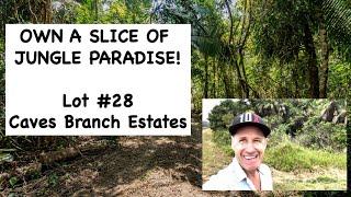 Lot #28 - Roadside Lot with River Access and Endless Views