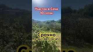 Участок в Сочи #домвсочи #дача #море #дом #участокуморя