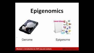 Introduction to ChIP Sequencing and Analysis