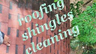 roofing cleaning