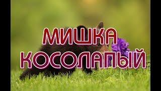 МИШКА КОСОЛАПЫЙ!!! ПОЛНАЯ ВЕРСИЯ СТИХОТВОРЕНИЯ.