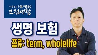 [하윤선의 슬기로운 보험생활] 생명보험 03: 생명보험의 종류 term, wholelife, universal