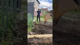 Демонтаж паркану || Dismantling the fence