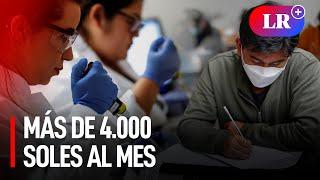 Excelente salario: ¿Cuáles son las 7 carreras mejor pagadas en Perú?