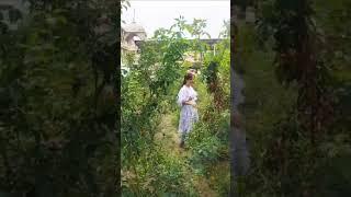 short vidio # youtube #pratima #singh