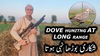 Dove Hunting at Long range || p15  Modified with FX stx Heavy Liner || ابھی تو میں جوان ہوں