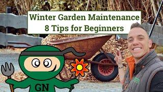 Winter Garden Tips & Maintenance Guide for Beginner Gardeners