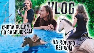 VLOG Конника / КОННАЯ ПРОГУЛКА, с Лошадьми на Речке, заброшка