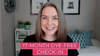 17 Months Dye-Free (Grey Hair Transition)