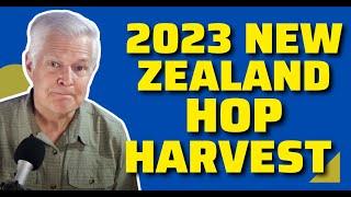 Motueka, Riwaka & Nelson Sauvin - 2023 New Zealand Hop Harvest Highlights