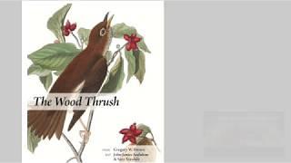 The Wood Thrush