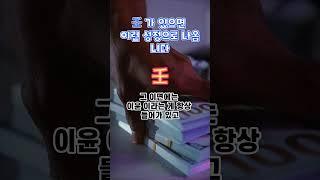 임수가 천간에 있으면? #사주 #운을 #운명 #임수 #천간임수 #임수일간 #부와행운
