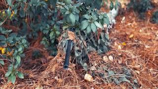 Operation Glue Eater Episode 1: Stumbled Beginnings