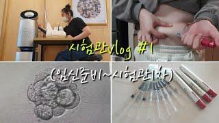 시험관브이로그1/임신준비/습관성유산/난소기능저하/갑상선호르몬/난자채취/배아이식/신선배아1차