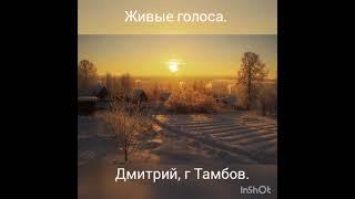Живые голоса, Дмитрий г Тамбов.