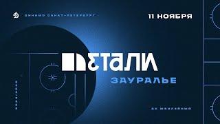 Детали. Зауралье. 11.11.2024