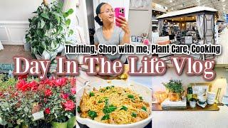 A Productive Spring Day in My Life: Thrift Hunt, Plant Care, Kitchen Decor & Cooking