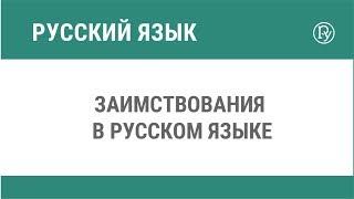 Заимствования в русском языке
