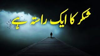 Shukr Ka Ek Rasta He | Beautiful Spiritual Quotes | Listen the Islam Q.K