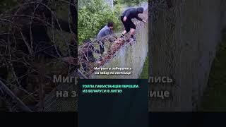 Рекордное число пакистанцев и афганцев пыталось перейти литовскую границу  #беларусь #минск #граница