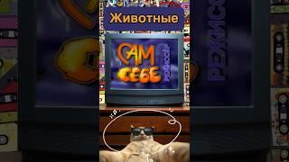 Сам себе режиссер! Животные. #ретротв #самсебережиссер #мыиз90х