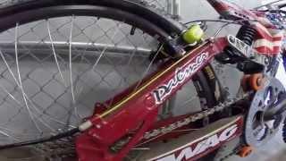 Intense M1, Shaun Palmer 1996 World's race bike