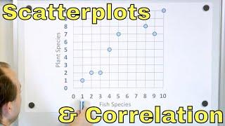 Draw Scatterplots & Determine Correlation (Positive & Negative Correlation of Data) - [8-9-1]