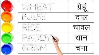 अनाज के नाम || Names of grains || Names of grains hindi and english || wheat pulse rice paddy