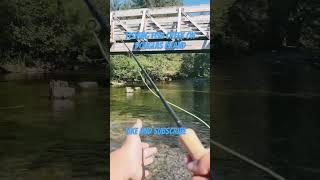 Fly fishing Fish creek on Douglass Island#flyfishingonly#fishing#flyfishinglife#alaska#flyfishingAK