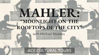 "Moonlight on the Rooftops of the City" with Michael Downes | ACE Cultural Tours