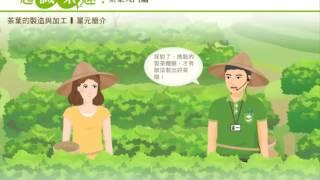 4 1茶葉的製造與加工