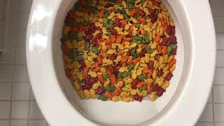 Will it Flush? - Rainbow Goldfish