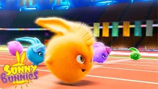 SUNNY BUNNIES - THE OLYMPIC RACE! | Season 1 COMPILATION | Cartoons for Kids